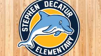 Decatur-Dolphins-Vector design logo